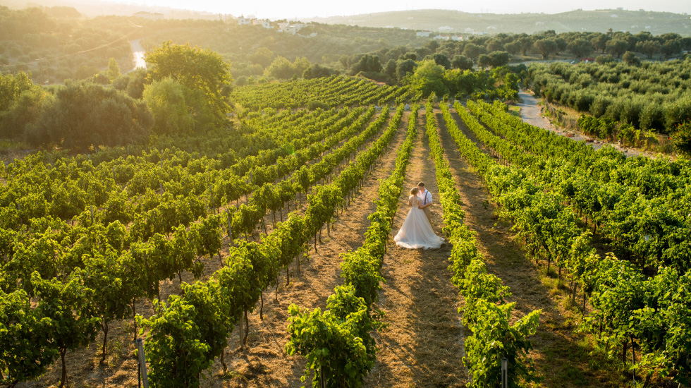 03-celebrations-and-weddings-in-agreco-farms